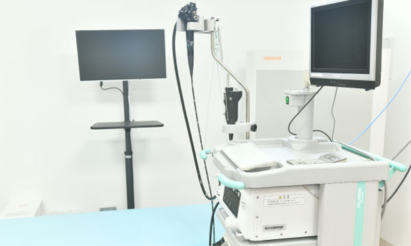 上部消化管内視鏡検査（胃カメラ）